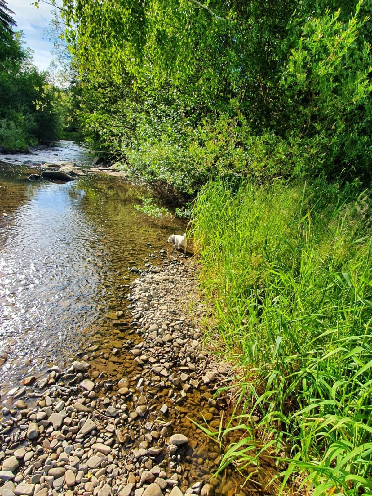 Вілла Wellness-Beskydy Простредні Бечва Екстер'єр фото